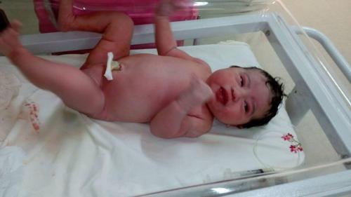 Trindade Hotel | Pousada do Horto