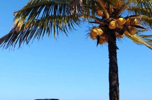 Caixa-Pregos Hotel | Pousada Dolce Mare