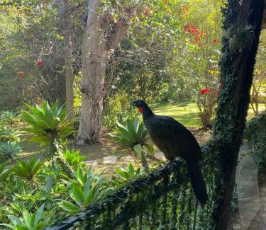 Sao Joao del Rei House | Pousada Flor de Íris