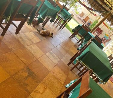 Taiba Hotel | Pousada lagoa da Barra Taiba