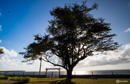 Salvaterra House | Pousada Marajó