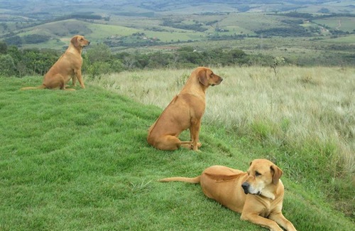 Carrancas Hotel | Pousada Mirante Serra Verde