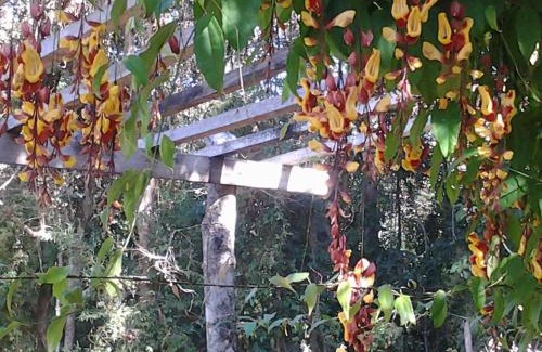 Vargem Hotel | Pousada na região de Extrema à 1 hora de Sp