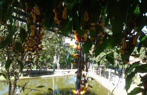 Vargem Hotel | Pousada na região de Extrema à 1 hora de Sp