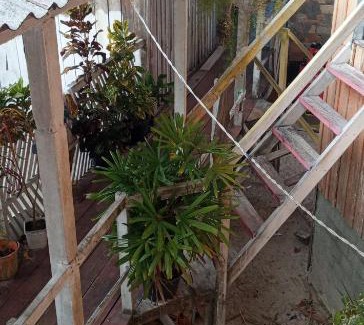 Soure House | Pousada Nascer do Sol