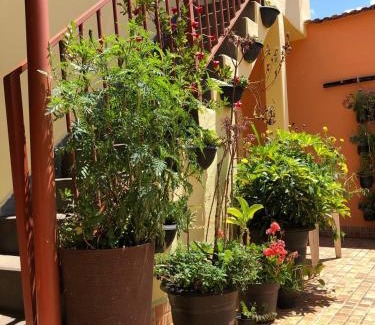 Aiuruoca Hotel | Pousada Recanto das Flores