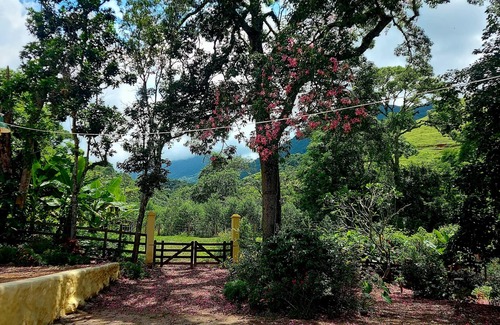 Sao Jose do Barreiro Hotel | Pousada Sítio Monte Sinai