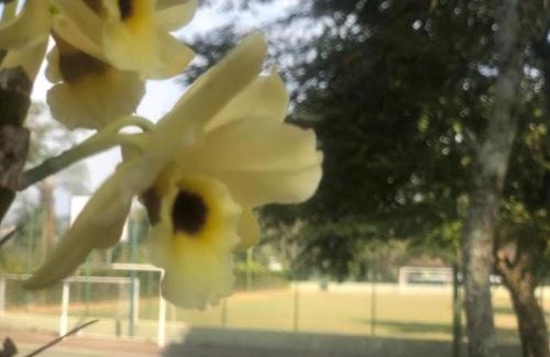 Vila Paula Hotel | Pousada Vila do Sítio