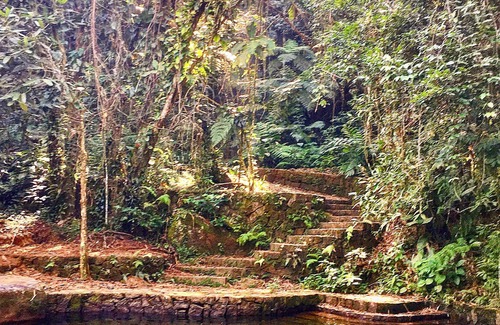 Paraty Cottage | Pouso da Mata country house