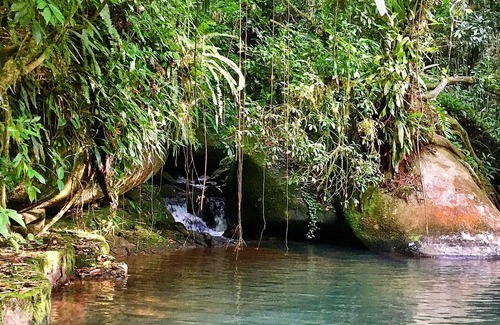 Paraty Cottage | Pouso da Mata country house