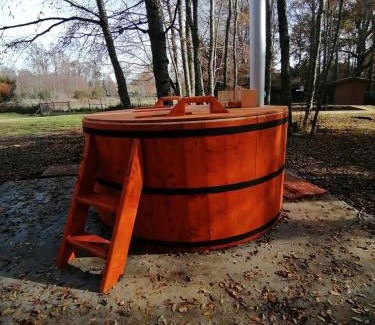 Villarrica Apartment | Preciosa Casa en Parcela con chimenea 3d 2b