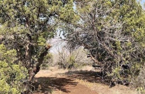 Alpine Cabin | Prickly Pear Cabin *SECLUDED COMFORT w/BEST VIEWS