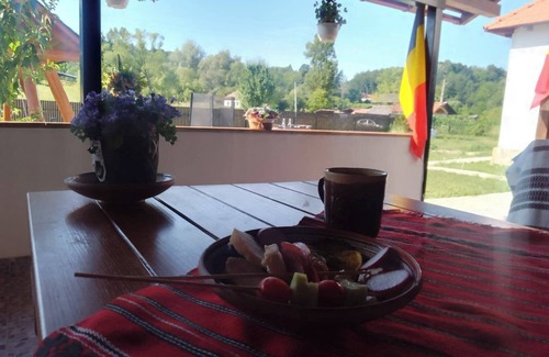 Stoenesti House | PRIDVOR – Traditional House in Oltenia de sub Munte, Romania