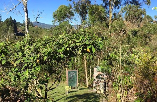 Rionegro Other | PrivaDome