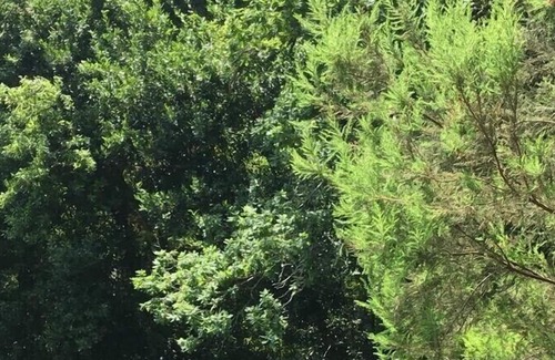 Puebla del Caraminal Cottage | Private forest with natural pools