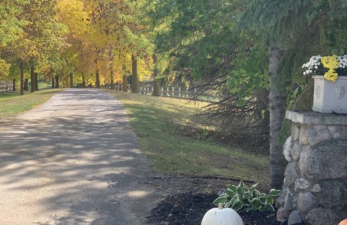 Webster House | Private Guest House on Mini Cow and Horse Ranch