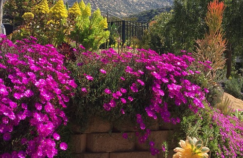 Lakeside House | Private Home With Sweeping Views! Extra-Comfy Bed, Fully Stocked,fast Wifi!