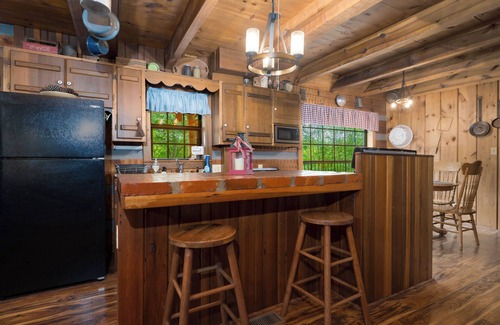 Lucas Cabin | Private Lakeview Rustic Cabin on Barren River Lake -40 min from Beech Bend + WKU