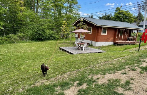 Hara Cottage | Private lodge overlooking Yatsugatake/Suwa-gun Nagano