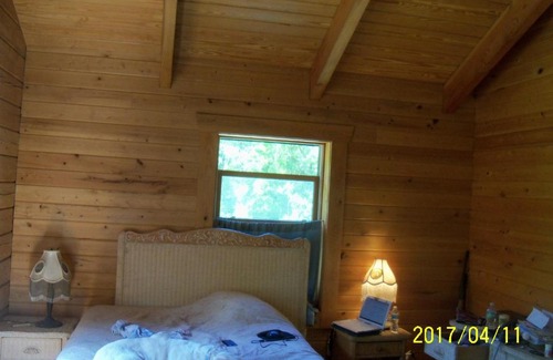 Mcalpin Cabin | PRIVATE Log Cabin with Indoor pool sauna and gym YOU RENT IT ALL NO ONE ELSE