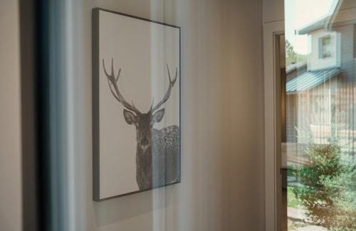 Mont-Tremblant Apartment | Private Luxury Room- C - King bed, Centrally Located , Free Shuttle to ski Hill and Resort, Coffee