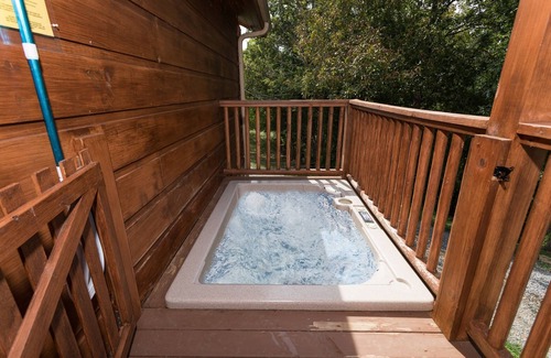 Sevierville Cabin | Private*On Douglas Lake w/access and dock*Dog(s) Welcome*
