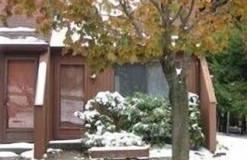 Canaan Valley Condo | Private Practical and Priced Just Right!!