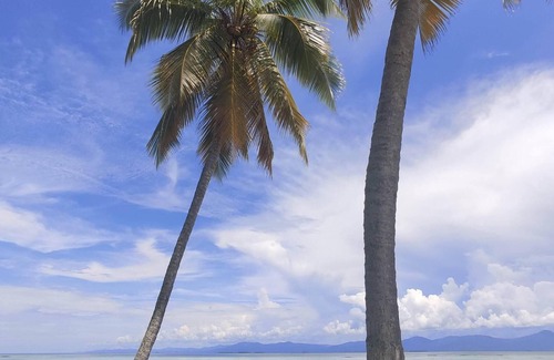 Carti Tupile Boat Rental | Private Sailboat in San Blas