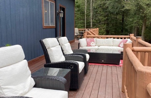 Bellaire Cottage | Private Water View . Boat TORCH LAKE ! Dock,Fireplace,Pizza Oven,Hottub!