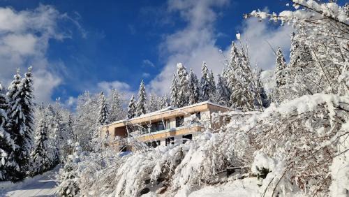 Hinterstoder Apartment | Privatwohnung am Prielerweg in Hinterstoder