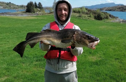 Averoy Municipality Other | Pro Fish camping and boat rent