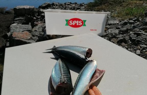 Averoy Municipality Other | Pro Fish camping and boat rent