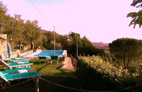 Calci Apartment | Promotion Typical Tuscan house surrounded by olive trees