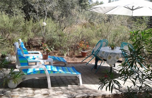 Lambesc House | PROVENCE - CHARMING LITTLE HOUSE NESTED AMONG PINE TREES