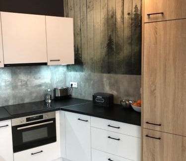 Swieradow-Zdroj Apartment | Przy Zajęczniku