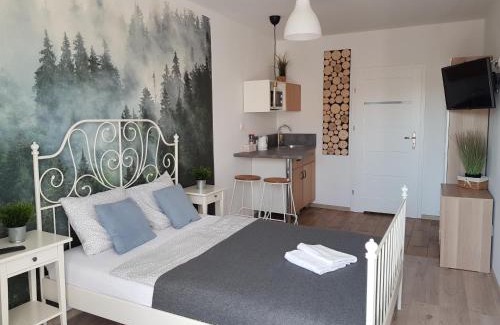 Jastrzebia Gora Apartment | Przypudrowane TPD 2A