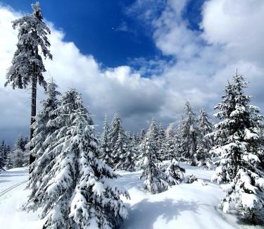 Cieplice Apartment | Przystanek w kolorach świata