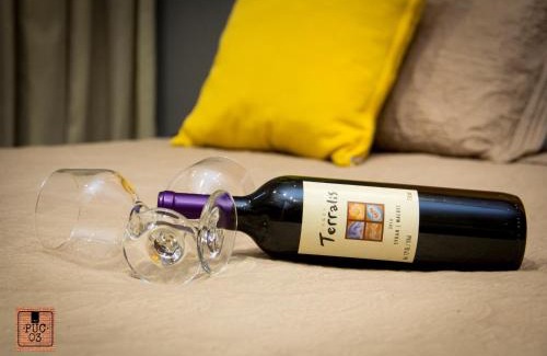 Araras Apartment | PUC 03 Itaipava RJ