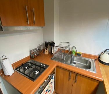 Pucon Apartment | Pucon Oriente