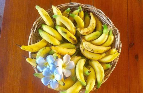 Chumphon Resort | Pueanjai Resort and Restaurant