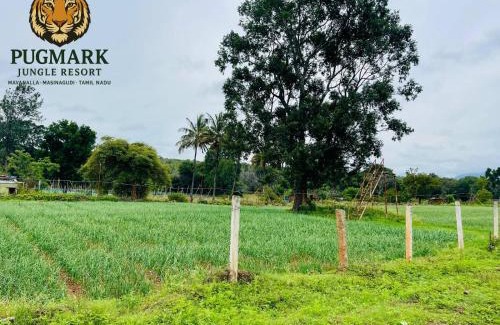 Masinagudi House | Pug Mark Jungle Resort - Masinagudi