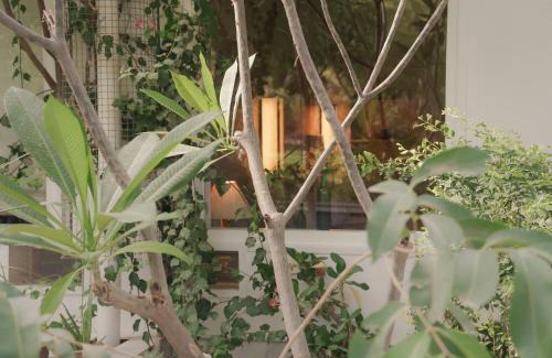 Pushkar Resort | PushkarOrganic - Lux farm resort with pool