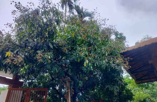 Mang Yang Apartment | Quốc Cảnh Homestay