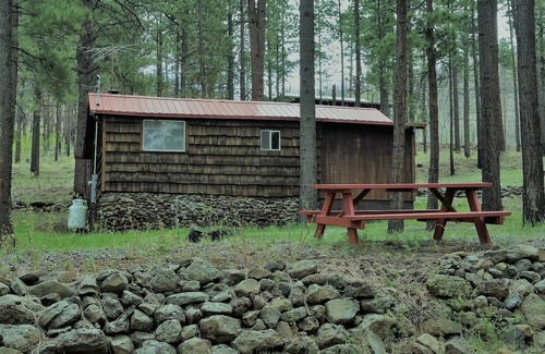 Greer Cabin | QUAINT COZY CABIN near East Fork, weekly and monthly rates, king bed, fireplace