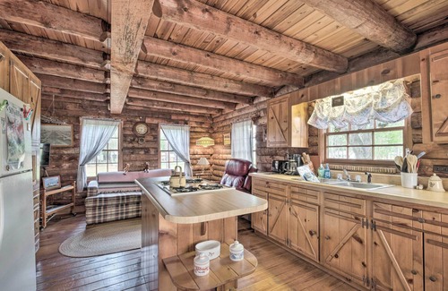 Candler Cabin | Quaint & Quiet Belleview Cabin on 35 Acres!