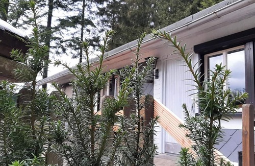 Frauenwald House | Quaint vacation home on the Rennsteig - sauna & fireplace! With Thüringer WaldCard All Incl.