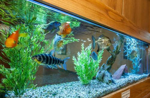 Logansport Hotel | Quality Inn Conference Center Logansport