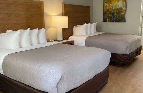 West Kissimmee Hotel | Quality Inn & Suites By the Parks