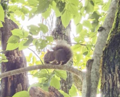Campo Alegre House | Quarto no Parque Nacional - Quarto Superior