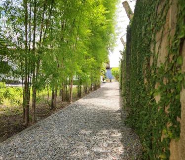 Paramaribo Apartment | Queen Maxima by Prins Hendrik Suites